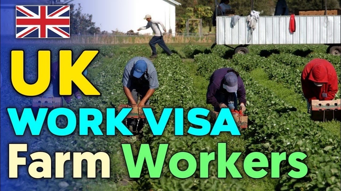 Visa Sponsored Farming Opportunities in the UK